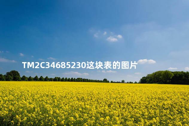 TM2C34685230这块表的图片 浪琴有TM开头的吗